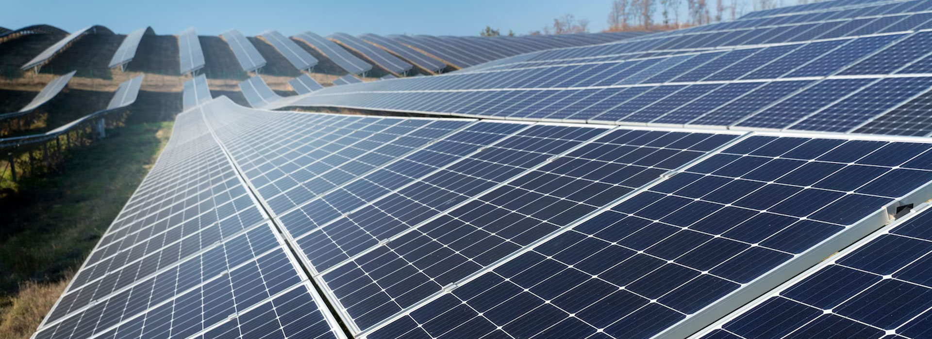 Company gallery image 1